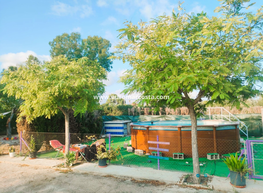 Objekte zum Wiederverkauf - Finca - Elche Pedanías - Elche/Elx