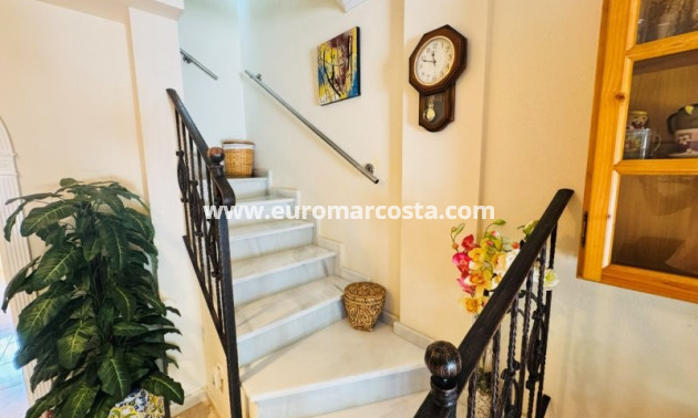 Venta - Adosado - Torrevieja - TORREVIEJA