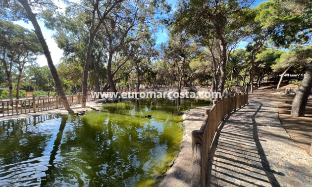 Objekte zum Wiederverkauf - Bungalow Planta Baja - Guardamar del Segura
