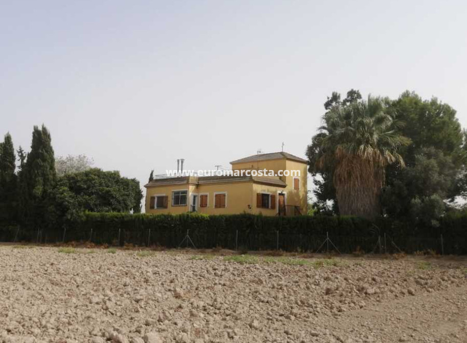 Venta - Detached house - Daya Nueva