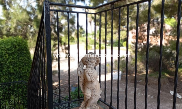 Venta - Detached house - Daya Nueva