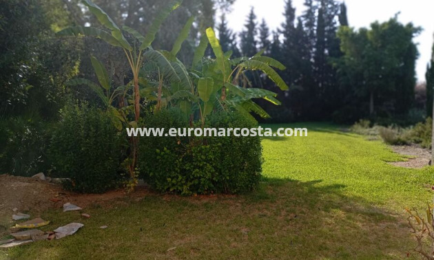 Venta - Detached house - Daya Nueva