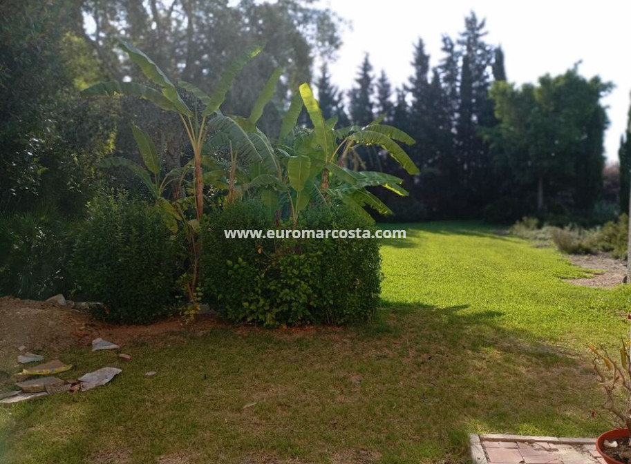 Venta - Detached house - Daya Nueva