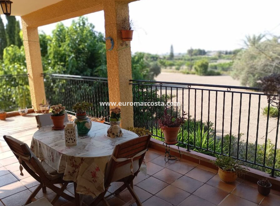 Venta - Detached house - Daya Nueva