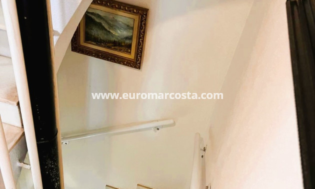 Sale - Quad - Torrevieja - TORREVIEJA