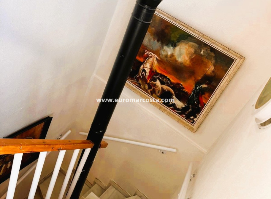 Sale - Quad - Torrevieja - TORREVIEJA