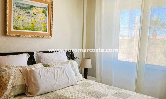 Sale - Quad - Torrevieja - TORREVIEJA