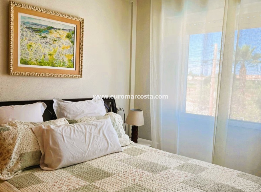 Sale - Quad - Torrevieja - TORREVIEJA