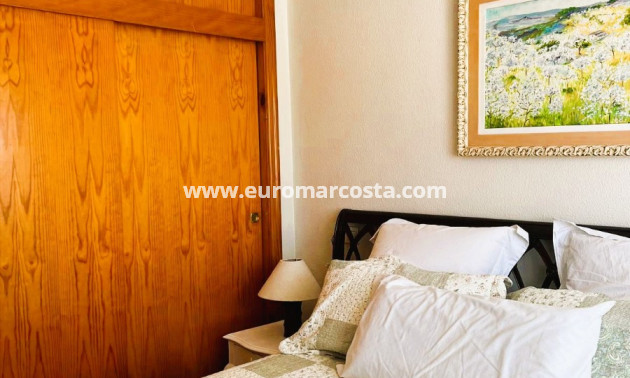 Sale - Quad - Torrevieja - TORREVIEJA