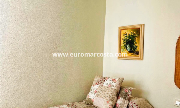 Sale - Quad - Torrevieja - TORREVIEJA