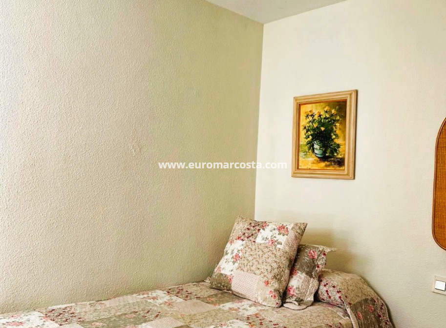 Sale - Quad - Torrevieja - TORREVIEJA