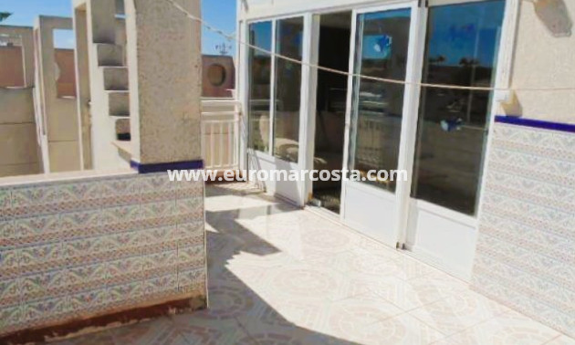 Sale - Quad - Torrevieja - TORREVIEJA