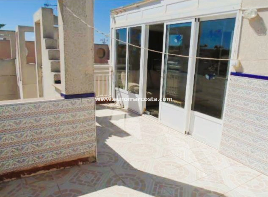 Sale - Quad - Torrevieja - TORREVIEJA