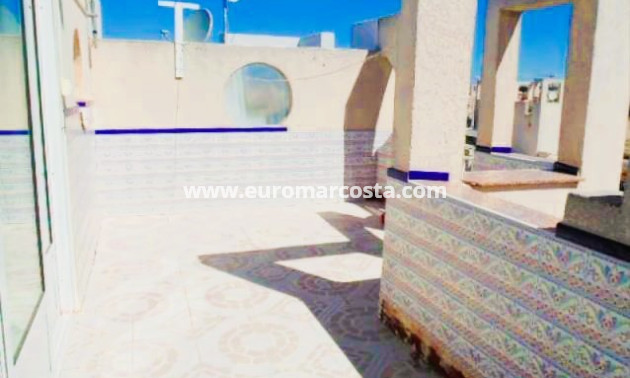 Sale - Quad - Torrevieja - TORREVIEJA