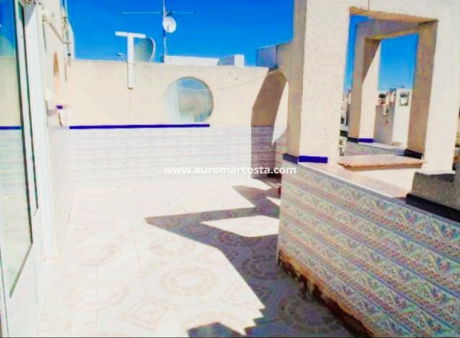 Sale - Quad - Torrevieja - TORREVIEJA