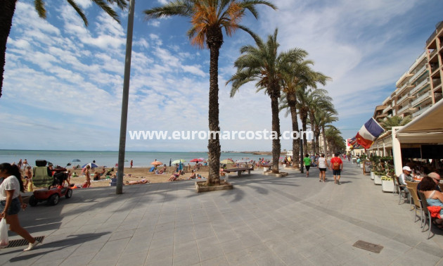 Sale - Quad - Torrevieja - TORREVIEJA