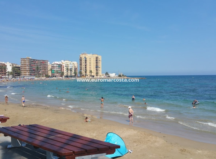 Sale - Quad - Torrevieja - TORREVIEJA