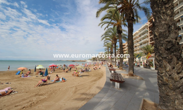 Sale - Quad - Torrevieja - TORREVIEJA