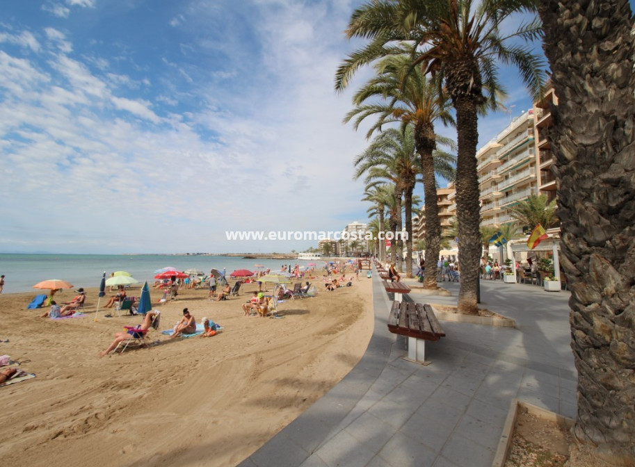 Sale - Quad - Torrevieja - TORREVIEJA
