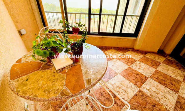 Sale - Apartment / flat - Guardamar del Segura