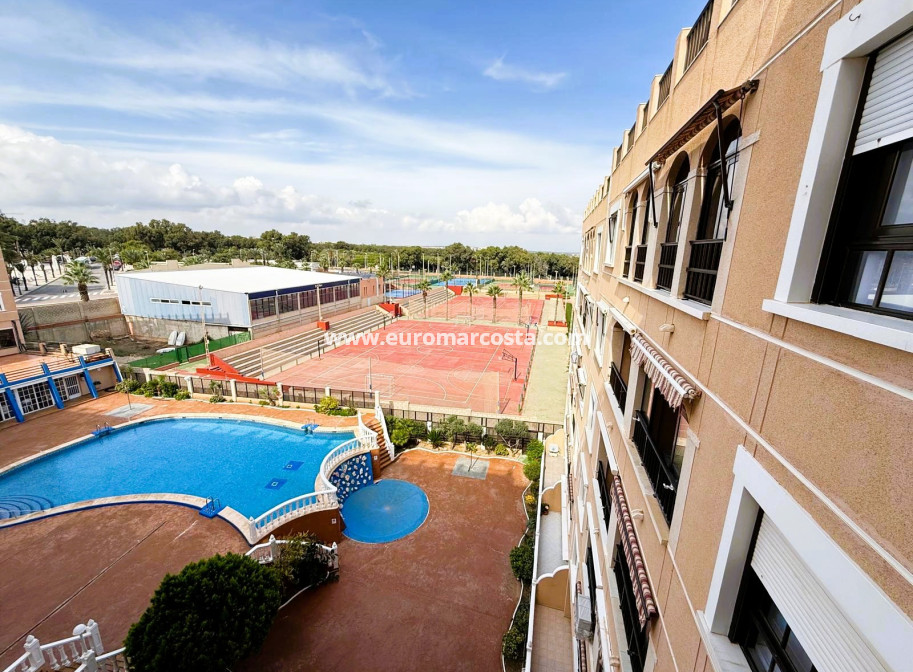 Sale - Apartment / flat - Guardamar del Segura