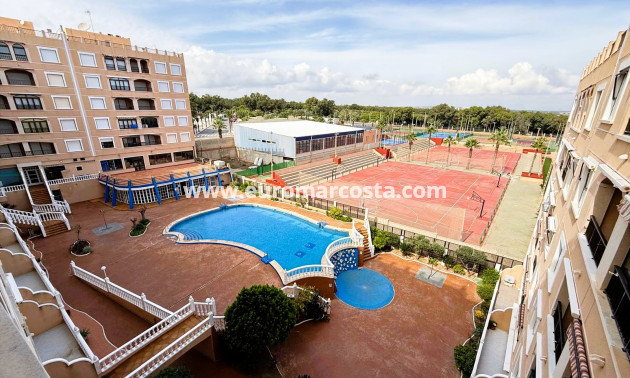 Sale - Apartment / flat - Guardamar del Segura