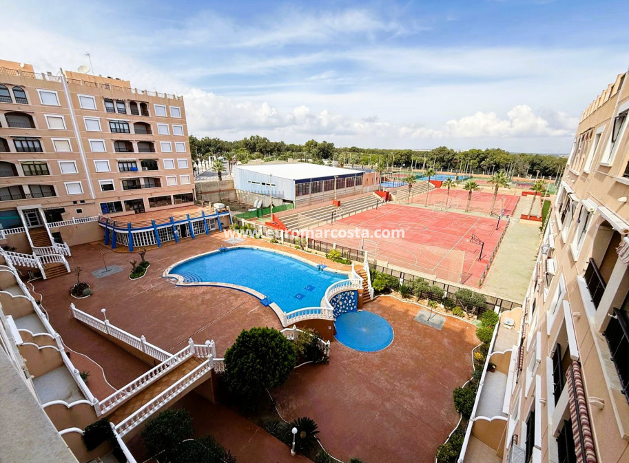 Sale - Apartment / flat - Guardamar del Segura