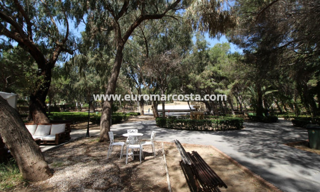 Sale - Bungalow Planta Alta - Guardamar del Segura