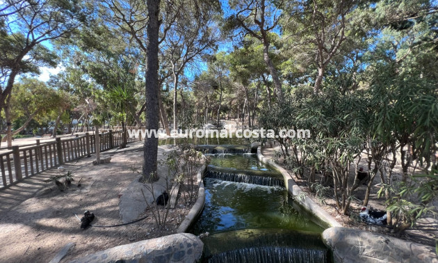 Sale - Bungalow Planta Alta - Guardamar del Segura
