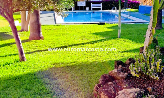 Objekte zum Wiederverkauf - Wohnung - La Mata