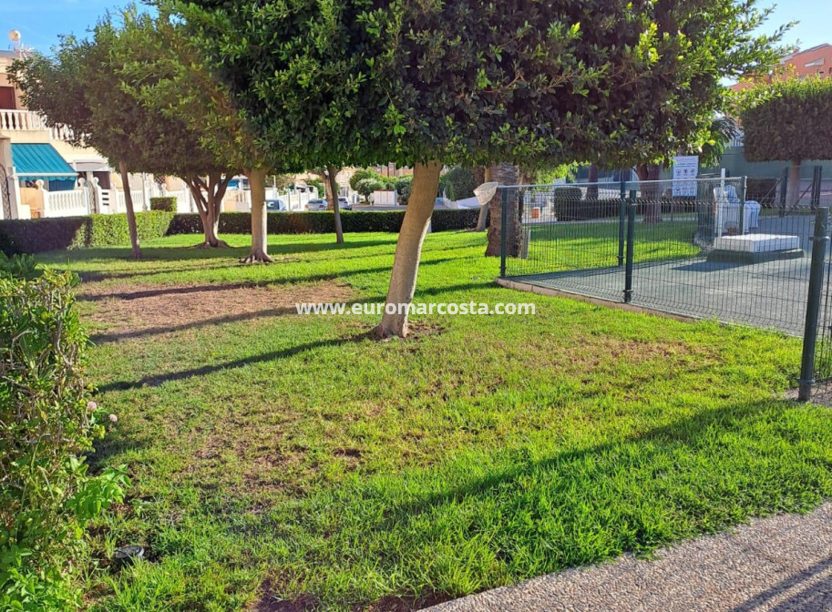 Objekte zum Wiederverkauf - Wohnung - La Mata