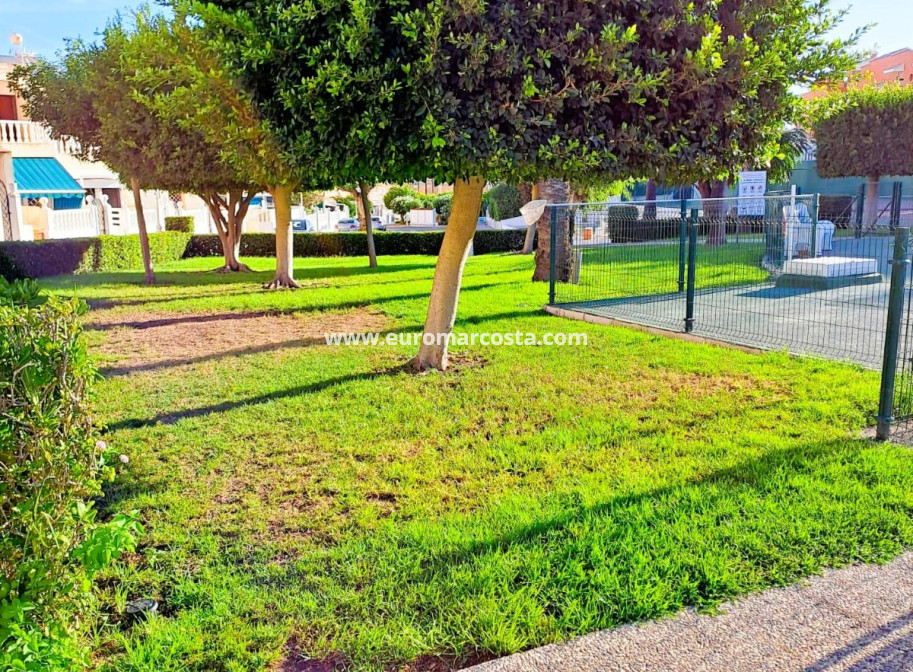 Objekte zum Wiederverkauf - Wohnung - La Mata