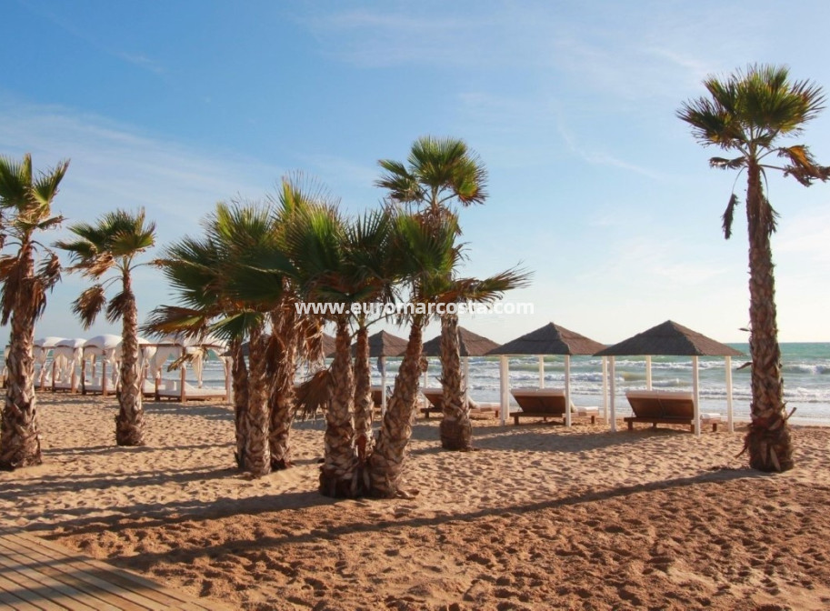 Objekte zum Wiederverkauf - Wohnstudio - La Mata