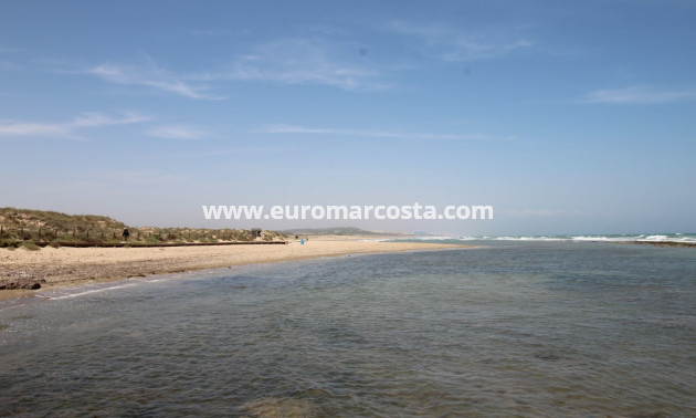 Venta - Ático Dúplex - La Mata