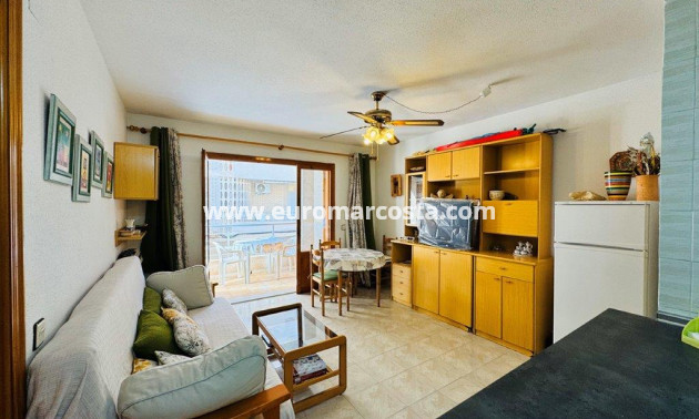 Sale - Apartment / flat - La Mata