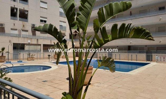Venta - Apartamento / piso - Almoradi - Almoradí