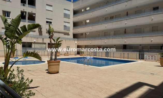 Venta - Apartamento / piso - Almoradi - Almoradí