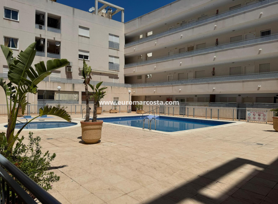 Venta - Apartamento / piso - Almoradi - Almoradí
