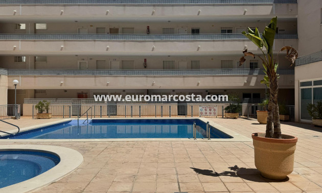 Venta - Apartamento / piso - Almoradi - Almoradí