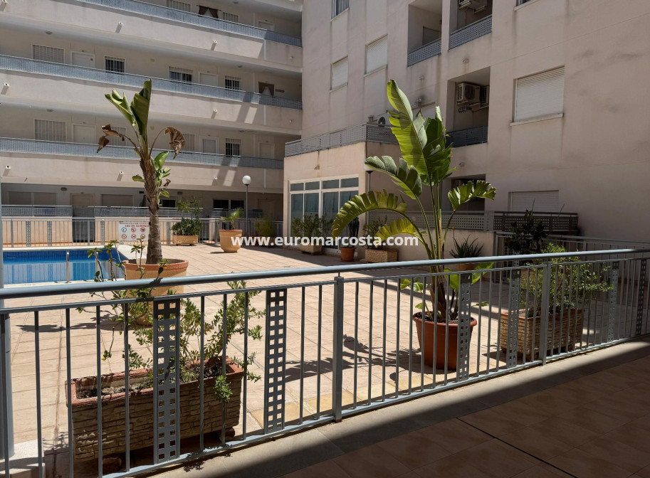Venta - Apartamento / piso - Almoradi - Almoradí
