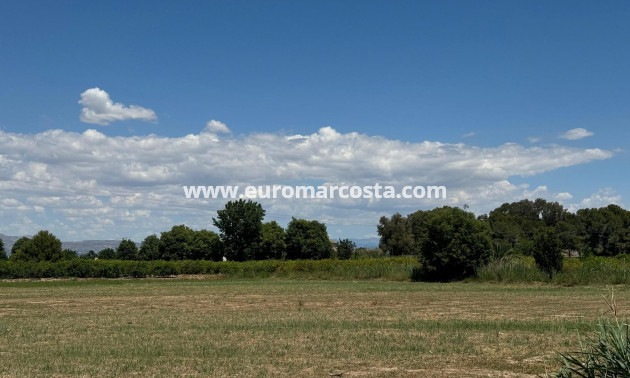 Venta - Apartamento / piso - Almoradi - Almoradí