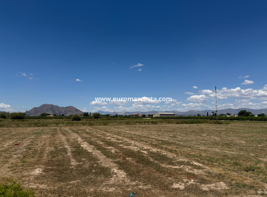 Venta - Apartamento / piso - Almoradi - Almoradí