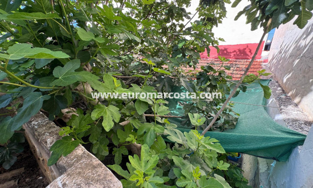 Venta - Casa - Benejúzar