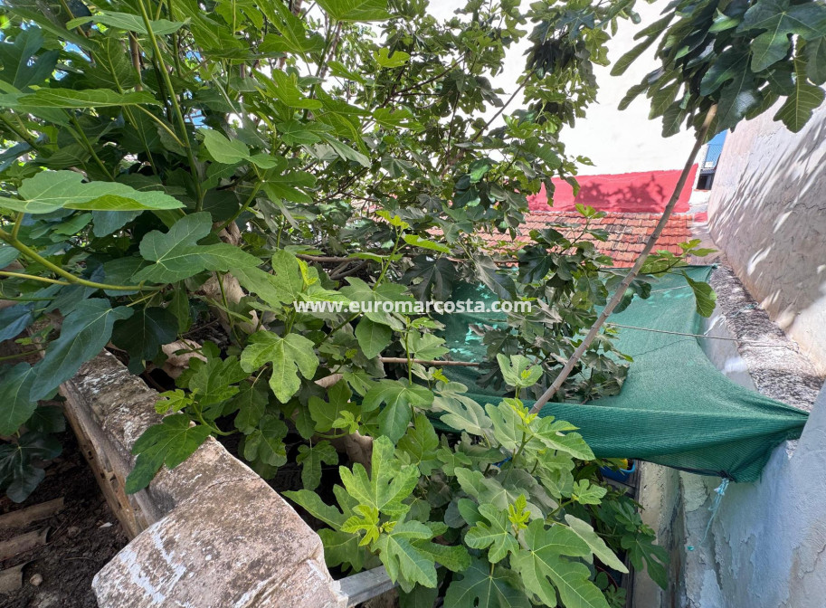 Venta - Casa - Benejúzar