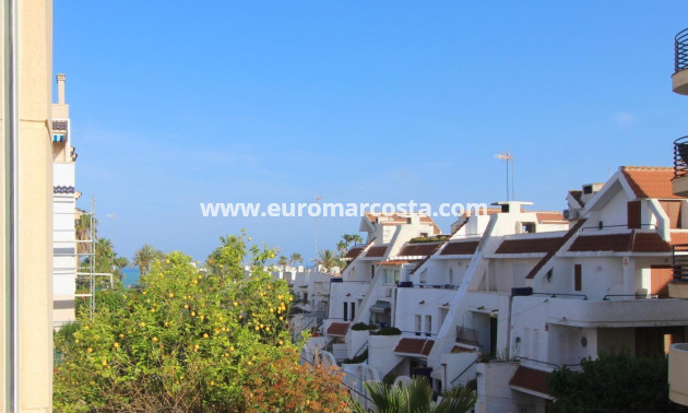 Sale - Apartment / flat - Torrevieja - TORREVIEJA