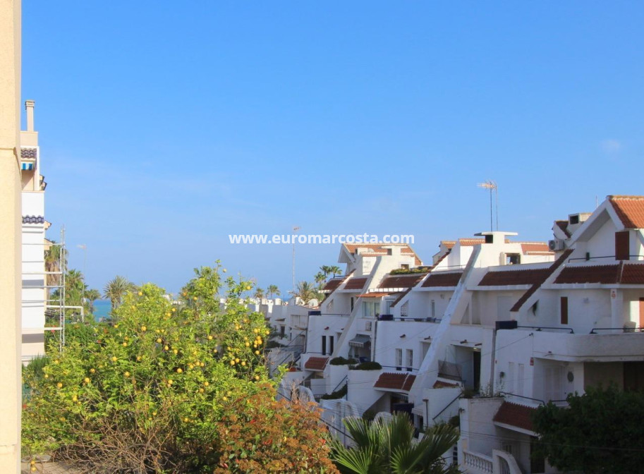 Sale - Apartment / flat - Torrevieja - TORREVIEJA