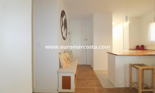 Sale - Apartment / flat - Torrevieja - TORREVIEJA