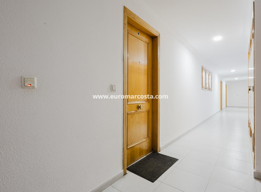 Sale - Apartment / flat - Torrevieja - TORREVIEJA