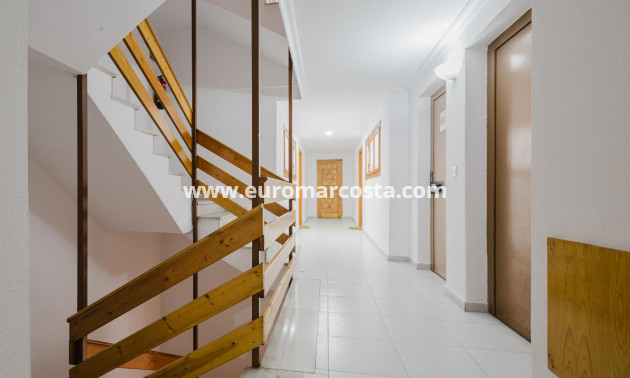 Sale - Apartment / flat - Torrevieja - TORREVIEJA