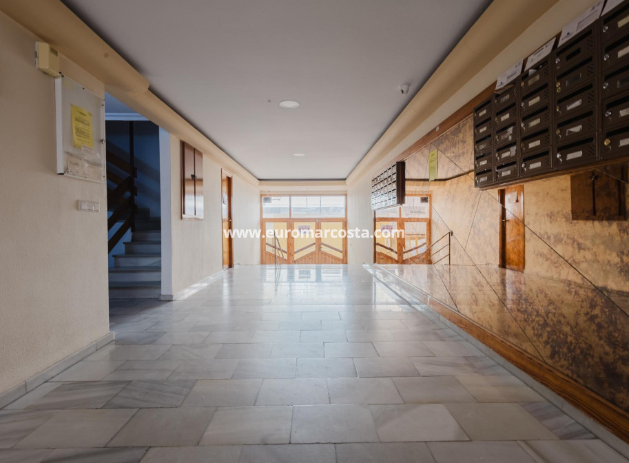 Sale - Apartment / flat - Torrevieja - TORREVIEJA